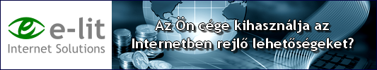 Az Ön cége kihasználja az Internetben rejlő lehetőségeket?